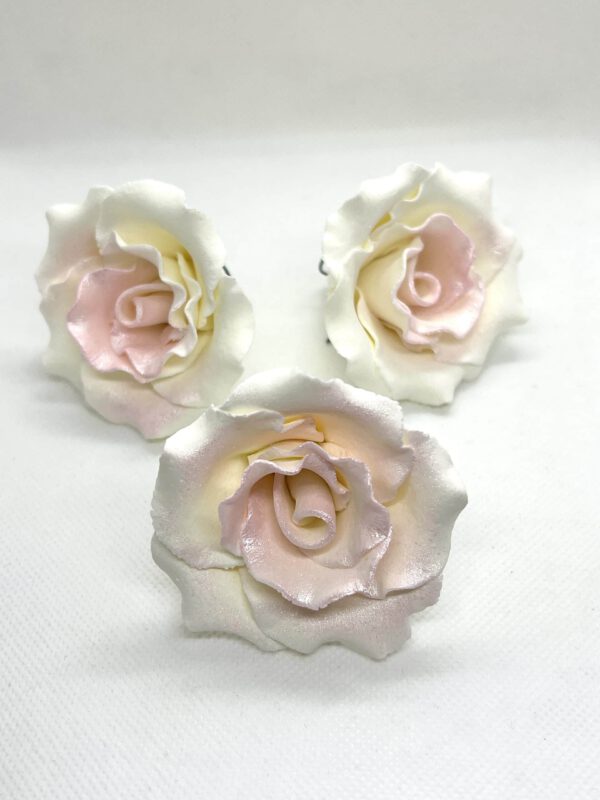 Roes white and Pink