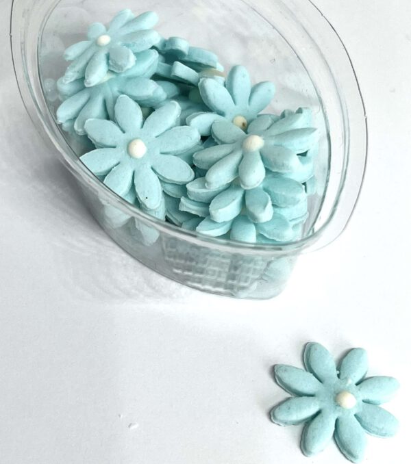 Kleines hellblaues Blumen Set
