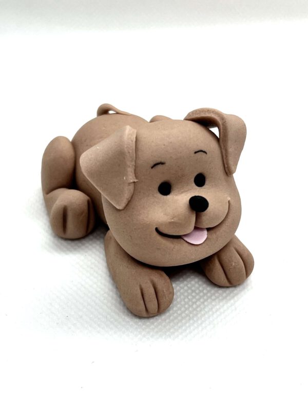 Hund, klein, braun